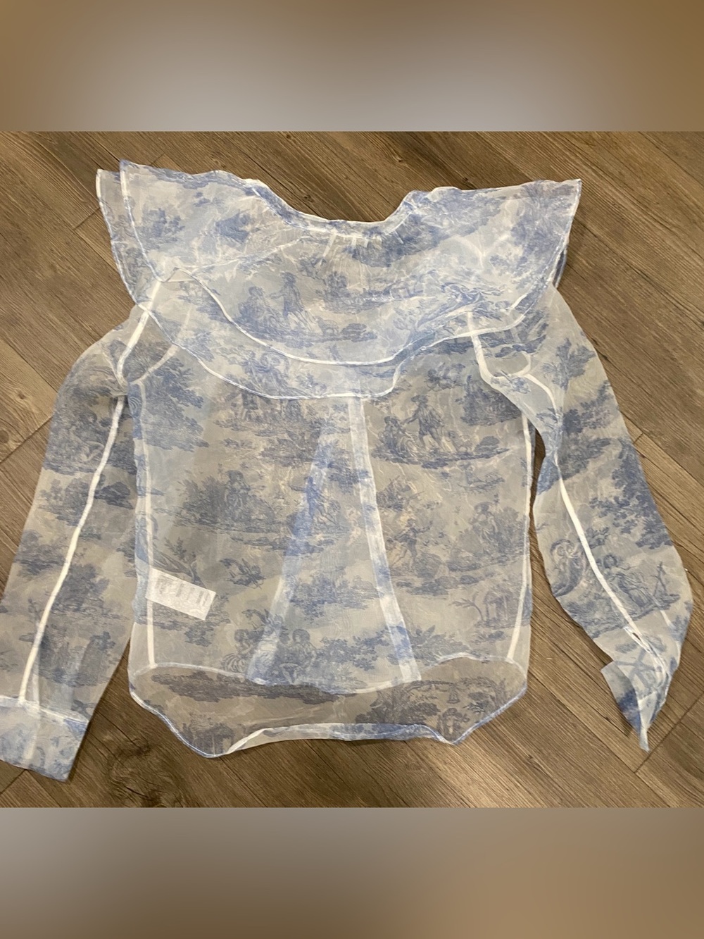 Laura Ashley & Urban Outfitters Sheer Blouse with Blue Toile Print - Picture 6 of 8